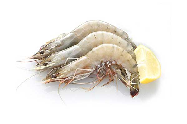 White Prawns